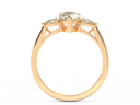 The Savanna - Mara Megelea